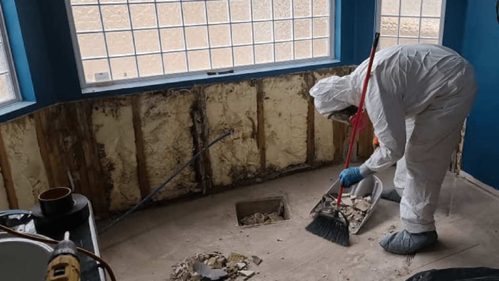 How To Choose The Right Mold Removal And Mitigation Service?
