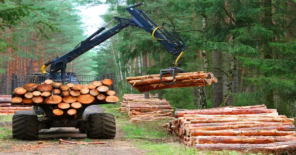 Top Questions To Ask Your Forestry Equipment Dealer Before Purchasing